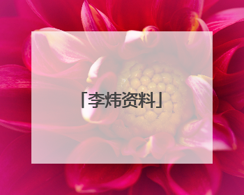 李炜资料