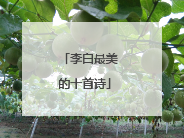 李白最美的十首诗