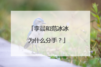 李晨和范冰冰为什么分手？