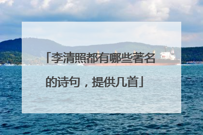 李清照都有哪些著名的诗句,提供几首