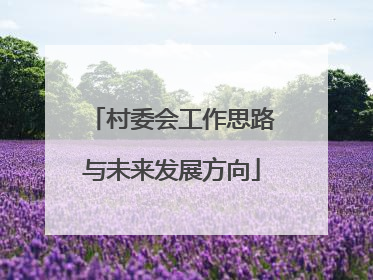 村委会工作思路与未来发展方向