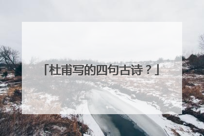 杜甫写的四句古诗?