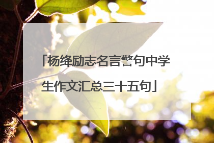 杨绛励志名言警句中学生作文汇总三十五句