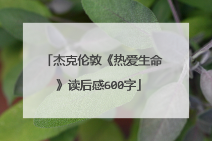 杰克伦敦《热爱生命》读后感600字