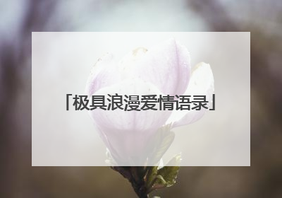 极具浪漫爱情语录