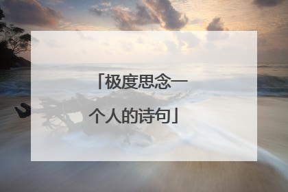 极度思念一个人的诗句