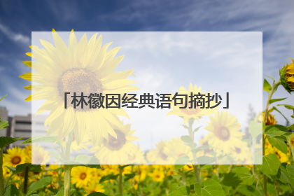 林徽因经典语句摘抄