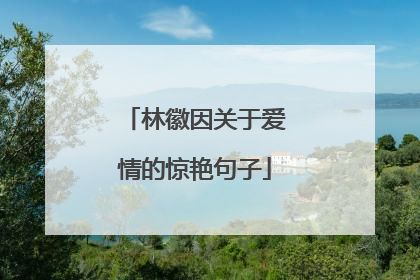 林徽因关于爱情的惊艳句子