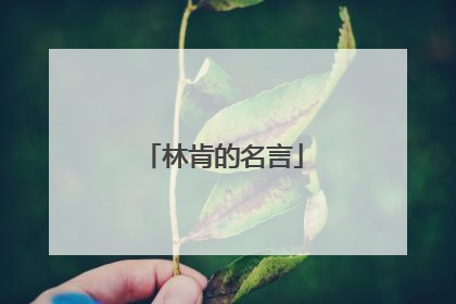 林肯的名言