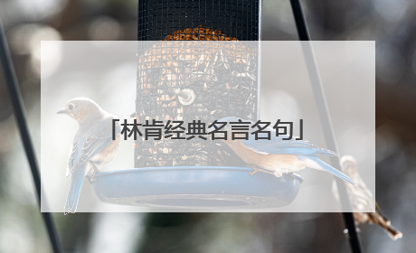 林肯经典名言名句
