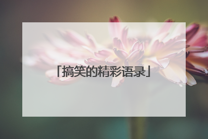搞笑的精彩语录
