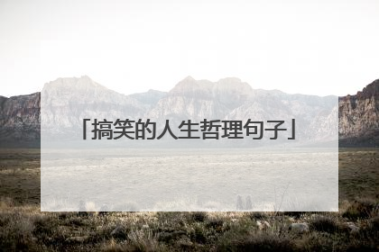 搞笑的人生哲理句子