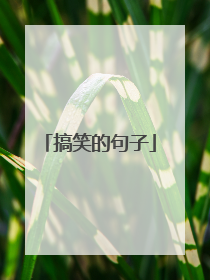 搞笑的句子