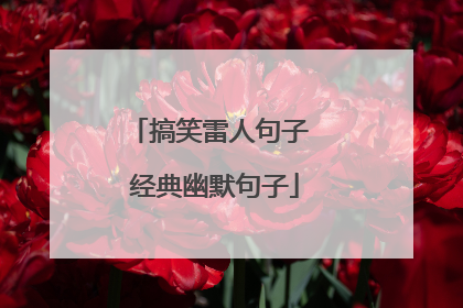 搞笑雷人句子 经典幽默句子