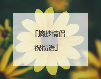 摘抄情侣祝福语