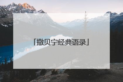 撒贝宁经典语录