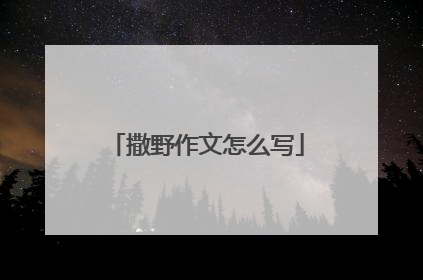 撒野作文怎么写