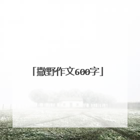 撒野作文600字