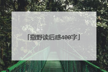 撒野读后感400字