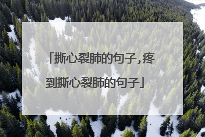 撕心裂肺的句子,疼到撕心裂肺的句子
