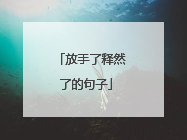 放手了释然了的句子