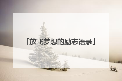 放飞梦想的励志语录