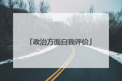 政治方面自我评价