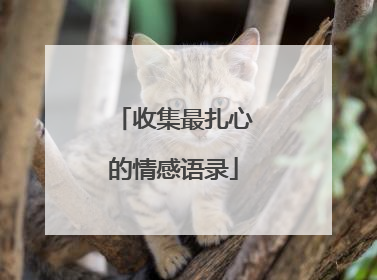 收集最扎心的情感语录