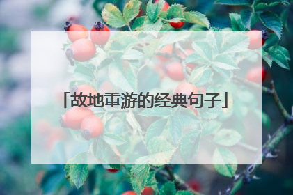故地重游的经典句子