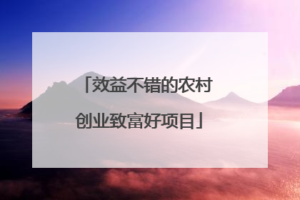 效益不错的农村创业致富好项目