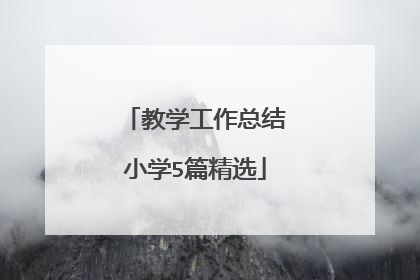 教学工作总结小学5篇精选