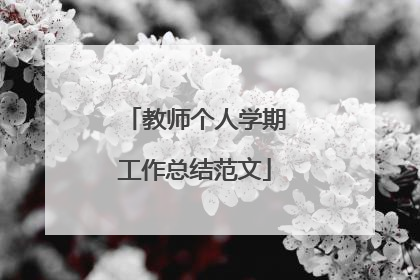 教师个人学期工作总结范文