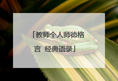教师个人师德格言 经典语录