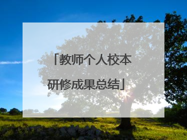 教师个人校本研修成果总结