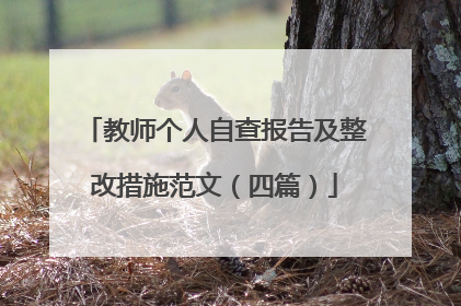 教师个人自查报告及整改措施范文(四篇)