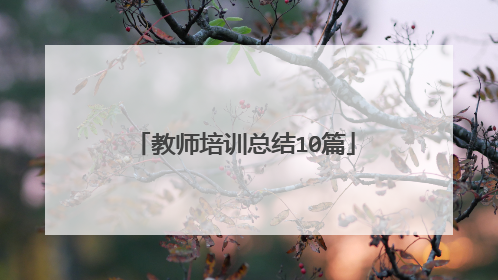 教师培训总结10篇
