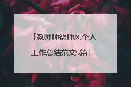 教师师德师风个人工作总结范文5篇