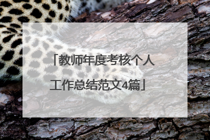 教师年度考核个人工作总结范文4篇
