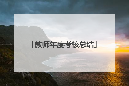 教师年度考核总结