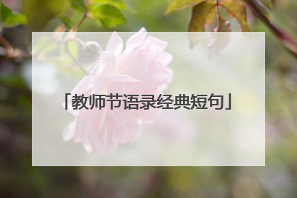 教师节语录经典短句