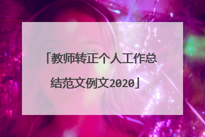 教师转正个人工作总结范文例文2020