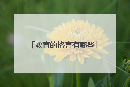 教育的格言有哪些