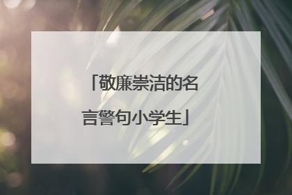 敬廉崇洁的名言警句小学生