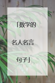 数学的名人名言句子
