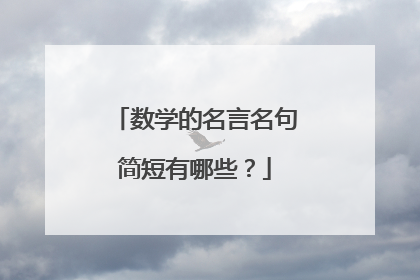 数学的名言名句简短有哪些?