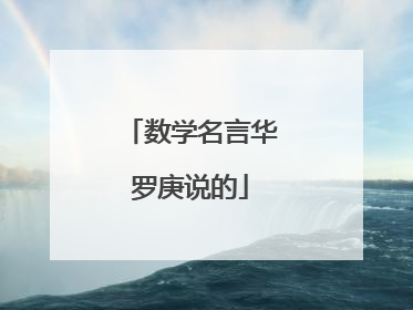 数学名言华罗庚说的