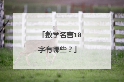 数学名言10字有哪些？