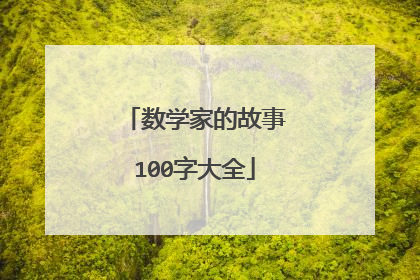 数学家的故事100字大全