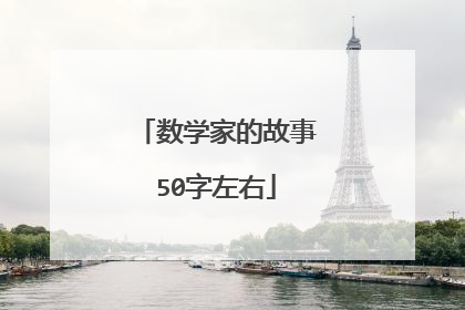数学家的故事50字左右