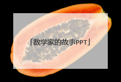 数学家的故事PPT